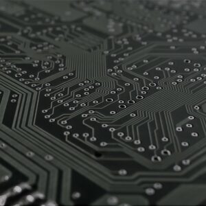 Profile picture of Paola Mosso